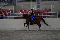 RCAHA19_SatPM_3962