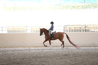 RCAHA19_SatPM_3931