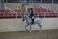 RCAHA19_SatPM_3993