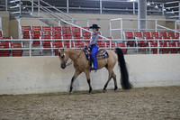 RCAHA19_SatPM_4038