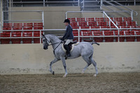 RCAHA19_SatPM_3995