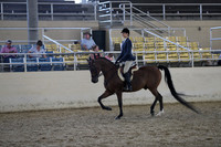 RCAHA19_SatPM_3996