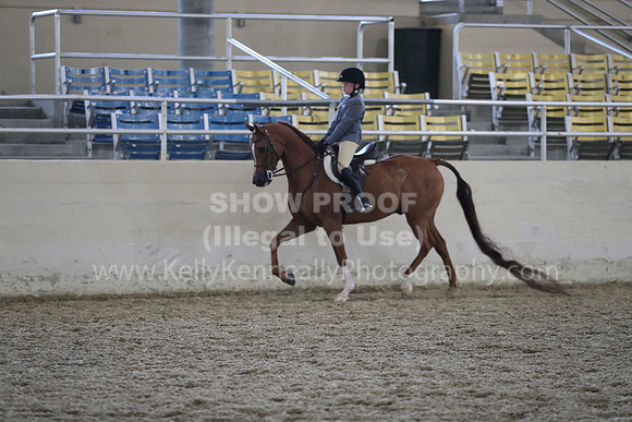 RCAHA19_SatPM_3933
