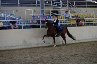 RCAHA19_SatPM_3971