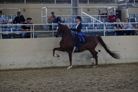 RCAHA19_SatPM_3974
