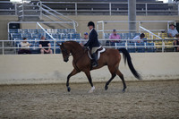 RCAHA19_SatPM_4002