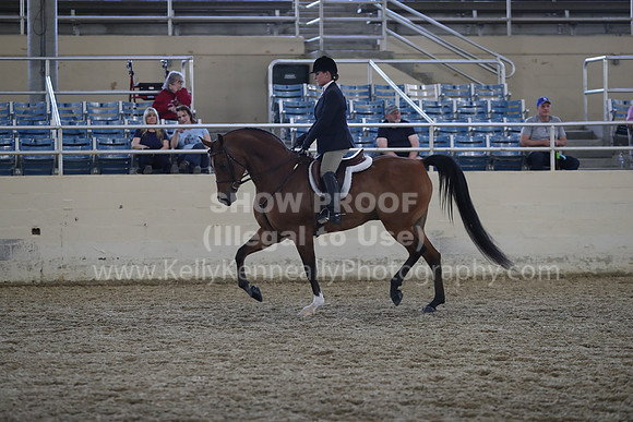RCAHA19_SatPM_4003