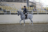 RCAHA19_SatPM_4005