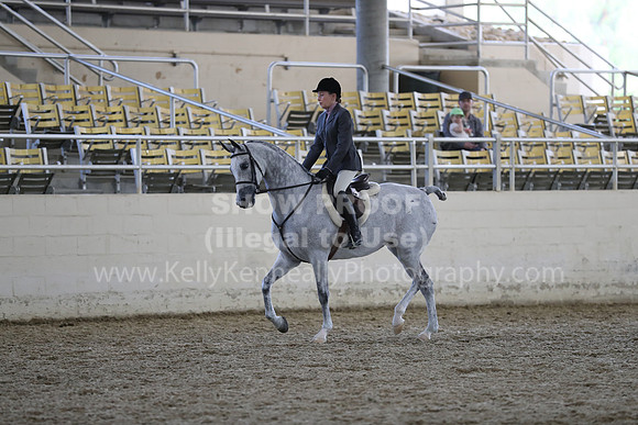 RCAHA19_SatPM_4005