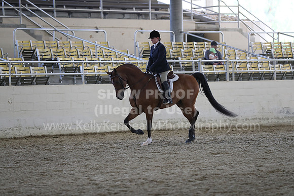 RCAHA19_SatPM_4013