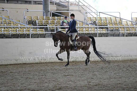RCAHA19_SatPM_4014
