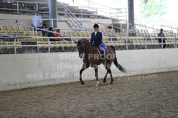 RCAHA19_SatPM_4020