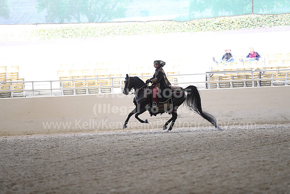 RCAHA19_SatPM_3871