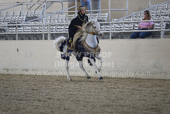 RCAHA19_SatPM_3887