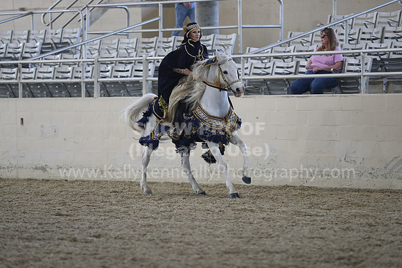 RCAHA19_SatPM_3888