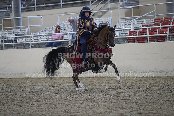RCAHA19_SatPM_3889