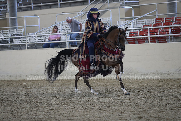 RCAHA19_SatPM_3890