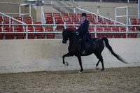 RCAHA19_SatPM_4064
