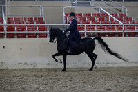 RCAHA19_SatPM_4066