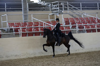 RCAHA19_SatPM_4074