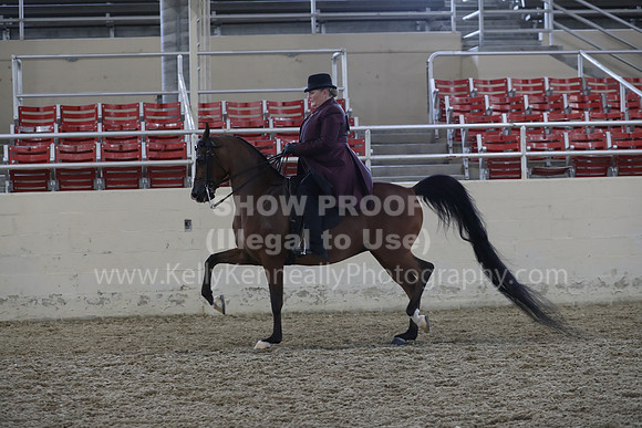 RCAHA19_SatPM_4082
