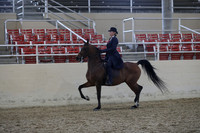RCAHA19_SatPM_4086