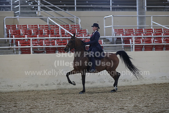 RCAHA19_SatPM_4086