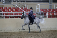RCAHA19_SatPM_4091
