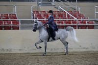 RCAHA19_SatPM_4092