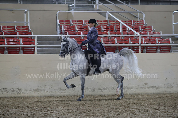 RCAHA19_SatPM_4092