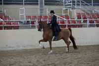 RCAHA19_SatPM_4093
