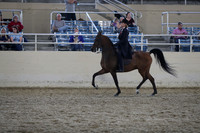 RCAHA19_SatPM_4096