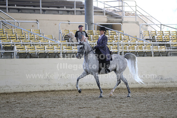 RCAHA19_SatPM_4098