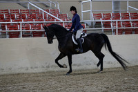 RCAHA19_SatPM_4142