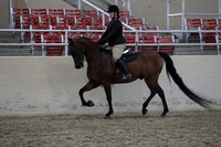 RCAHA19_SatPM_4145