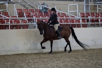 RCAHA19_SatPM_4144