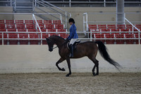 RCAHA19_SatPM_4158