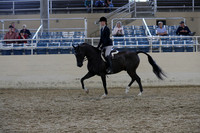 RCAHA19_SatPM_4163