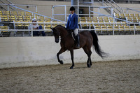 RCAHA19_SatPM_4164