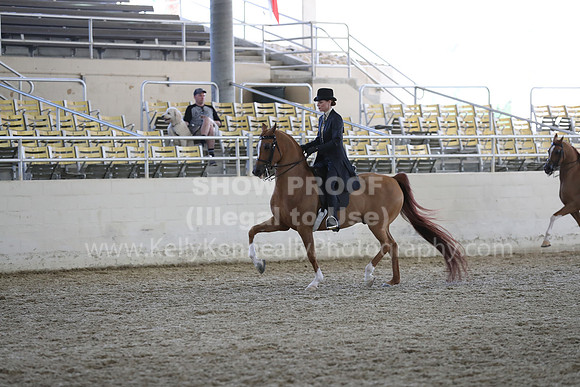 RCAHA19_SatPM_4102