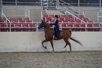 Class 158 Saddle Seat Equitation JTR 18 & Under