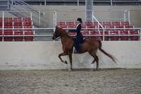 RCAHA19_SatPM_4195