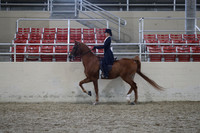RCAHA19_SatPM_4196