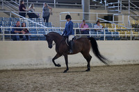 RCAHA19_SatPM_4165