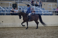 RCAHA19_SatPM_4166