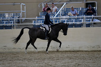 RCAHA19_SatPM_4169