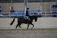 RCAHA19_SatPM_4170