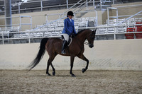 RCAHA19_SatPM_4173