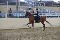 RCAHA19_SatPM_4203