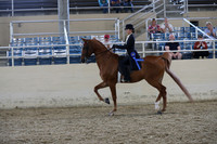 RCAHA19_SatPM_4205